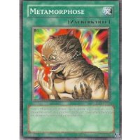 Metamorphose DR1-DE038