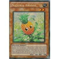 Naturia-Ananas DREV-DE082