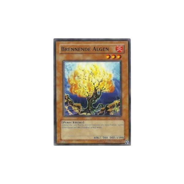 Brennende Algen IOC-DE062