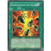 Verfielfältigung von Ameisen IOC-DE098