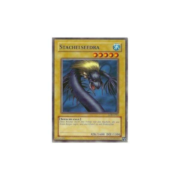 Stachelseedra LOB-G083