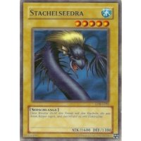 Stachelseedra LOB-G083