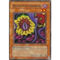 Magical Plant Mandragola MFC-072