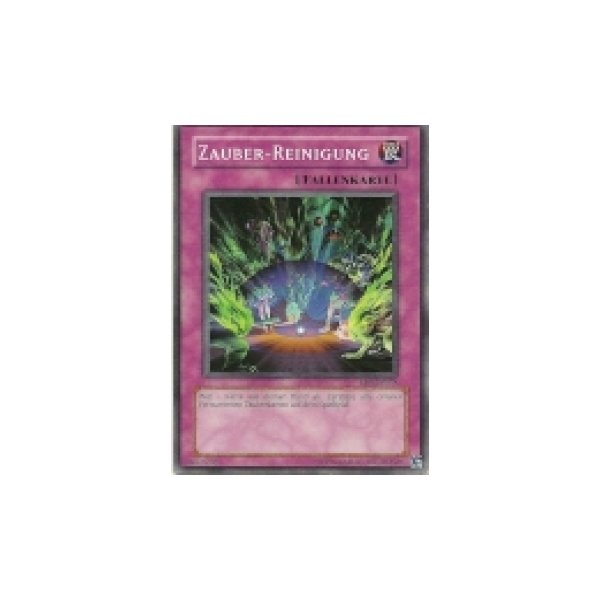 Zauber-Reinigung RDS-DE058