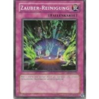 Zauber-Reinigung RDS-DE058