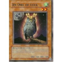 An Owl of Luck