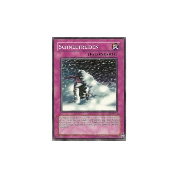 Schneetreiben PSV-G018