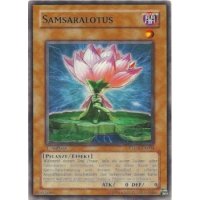 Samsaralotus PTDN-DE004