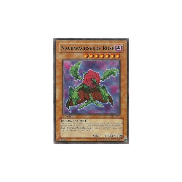 Nachwachsende Rose PTDN-DE005