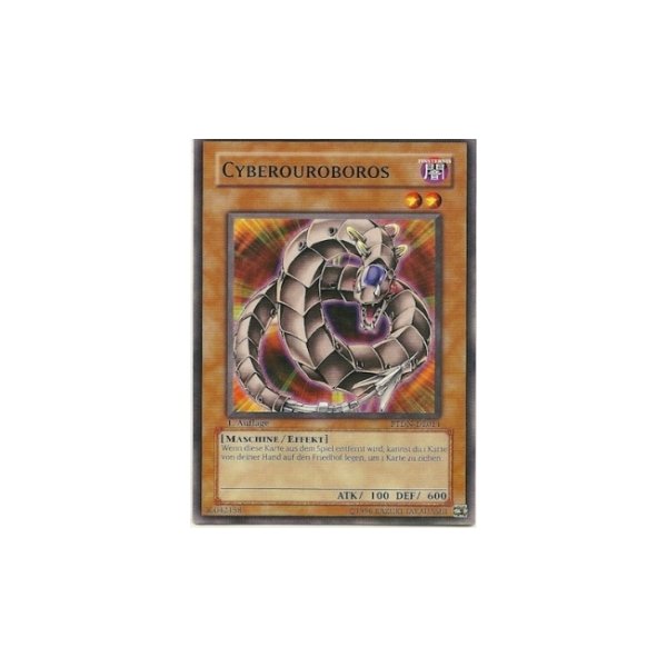 Cyberouroboros PTDN-DE011