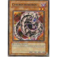 Cyberouroboros PTDN-DE011