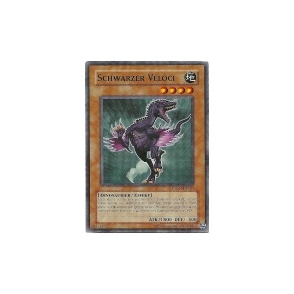 Schwarzer Veloci PTDN-DE033