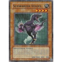 Schwarzer Veloci PTDN-DE033