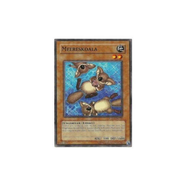 Meereskoala PTDN-DE037