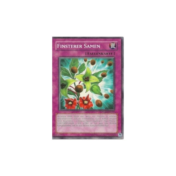 Finsterer Samen PTDN-DE065