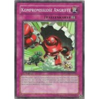 Kompromisslose Angriffe PTDN-DE075