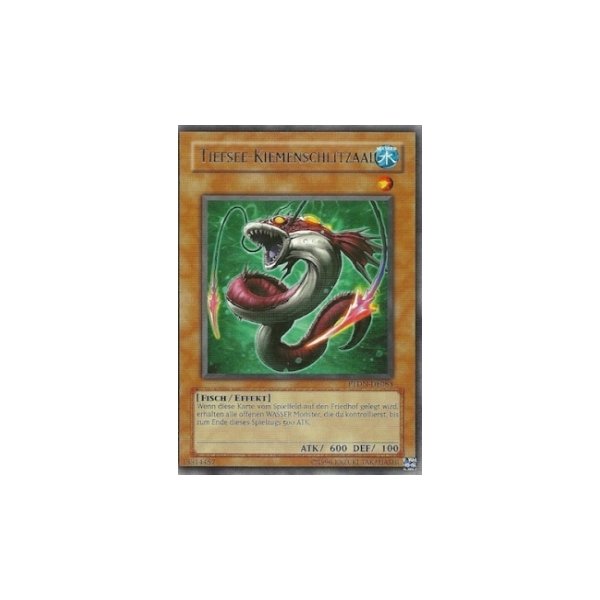 Tiefsee-Kiemenschlitzaal PTDN-DE083