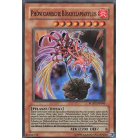 Ph&ouml;nixianische B&uuml;schelamaryllis RGBT-DE006