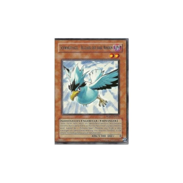Schwarzfl&uuml;gel - Blizzard der hohe Norden RGBT-DE010