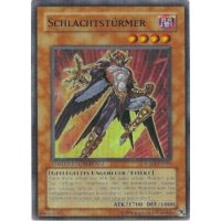 Schlachtst&uuml;rmer RGBT-DESP1