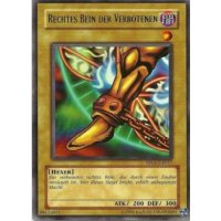 Rechtes Bein der Verbotenen RP01-DE017