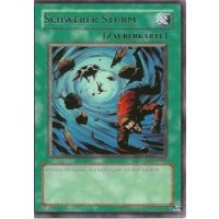 Schwerer Sturm RP01-DE048