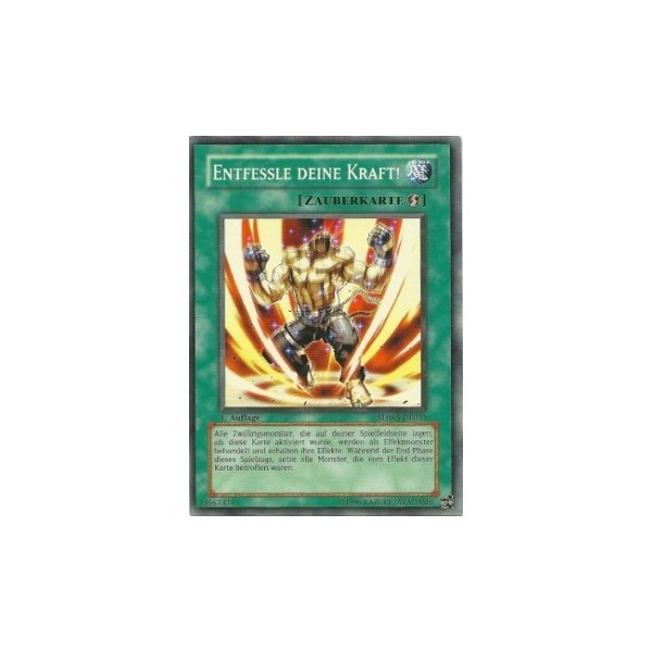 Entfessle deine Kraft! SDWS-DE031