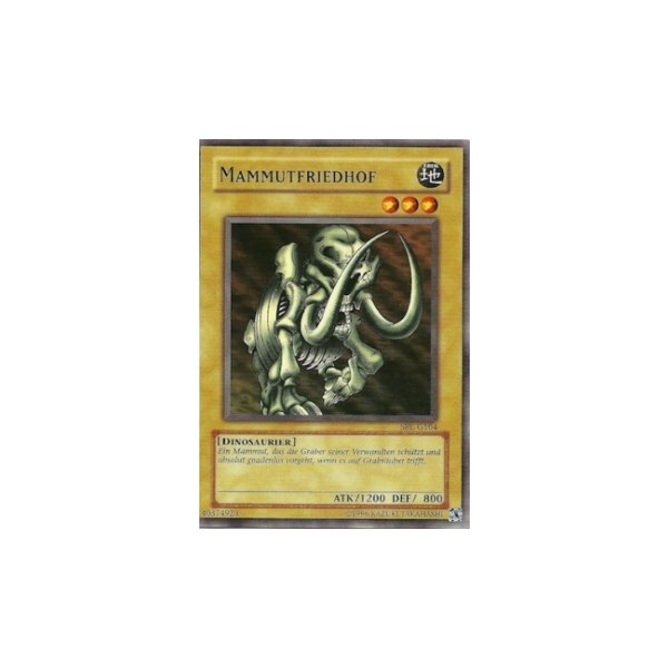 Mammutfriedhof SRL-G104