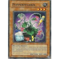 Puppenpflanze STON-DE022