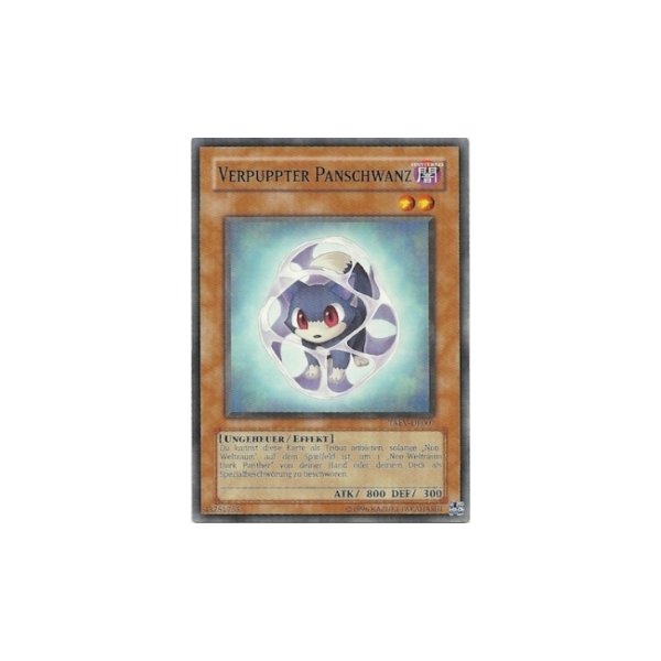 Verpuppter Panschwanz TAEV-DE007