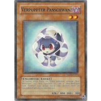 Verpuppter Panschwanz TAEV-DE007