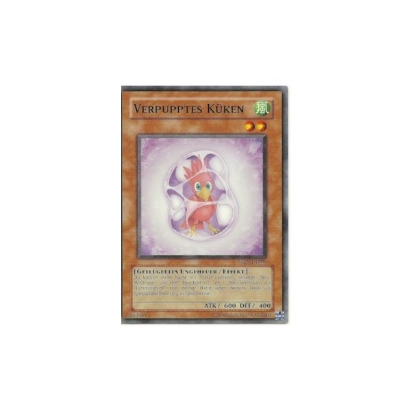 Verpupptes K&uuml;ken TAEV-DE008