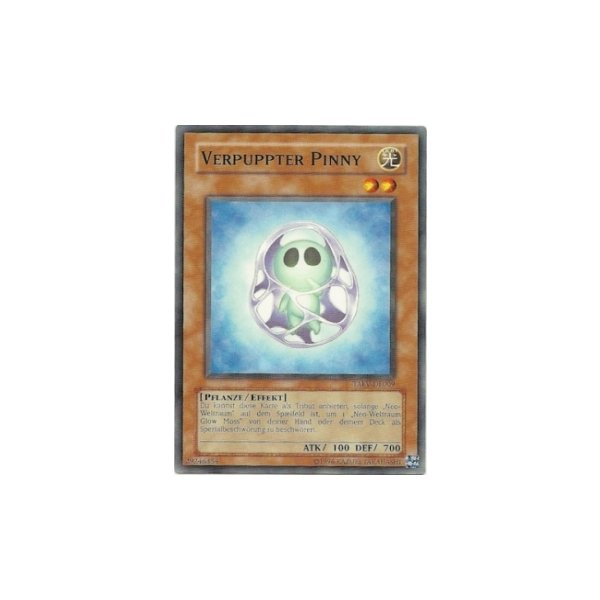 Verpuppter Pinny TAEV-DE009