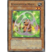 Verpuppter Mole TAEV-DE011