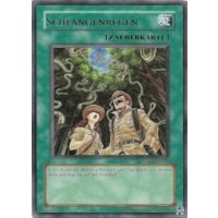 Schlangenregen TAEV-DE052