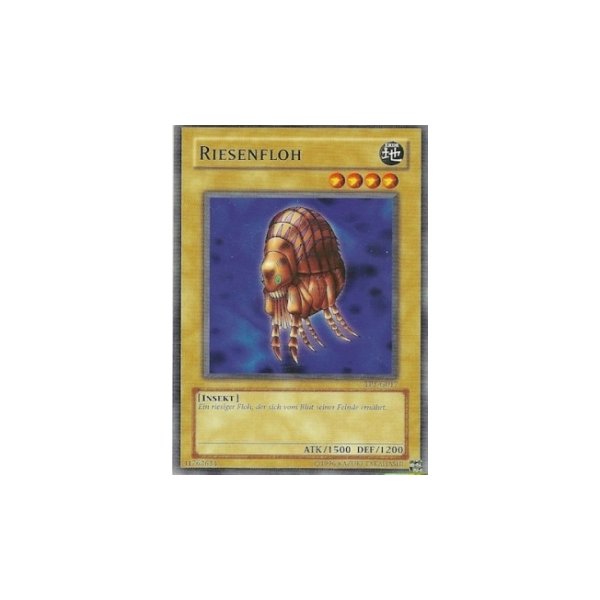Riesenfloh TP1-G017