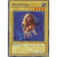 Riesenfloh TP1-G017