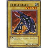 Herkuleskäfer TP1-G025