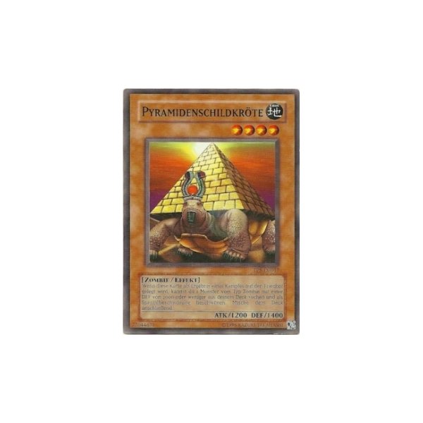 Pyramidenschildkr&ouml;te TP5-DE017