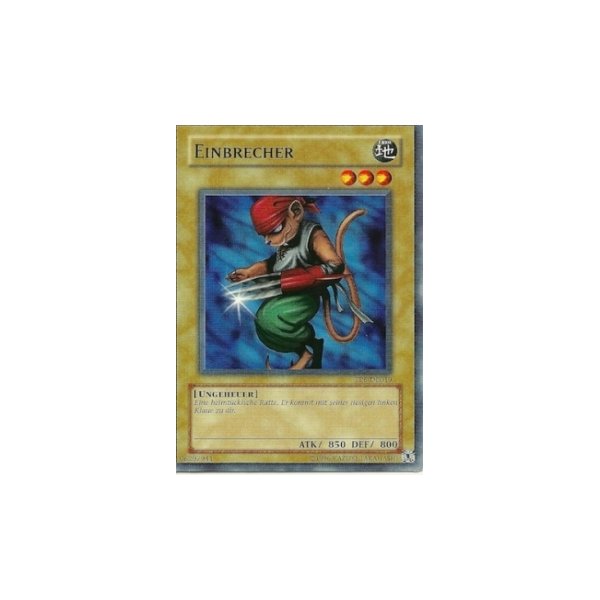 Einbrecher TP6-DE019