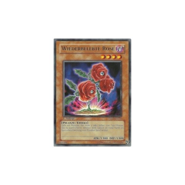 Wiederbelebte Rose TSHD-DE016