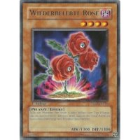 Wiederbelebte Rose TSHD-DE016