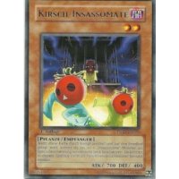 Kirsch-Insassomate TSHD-DE022