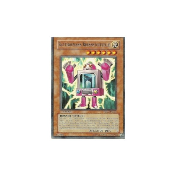 Batteriemann Brennstoffzelle TSHD-DE035