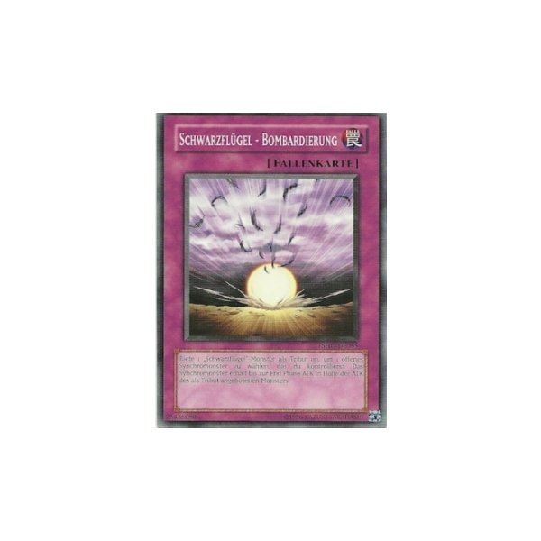 Schwarzfl&uuml;gel - Bombardierung TSHD-DE065