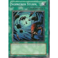 Schwerer Sturm SD10-DE026