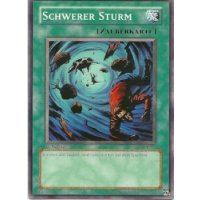 Schwerer Sturm SD6-DE023