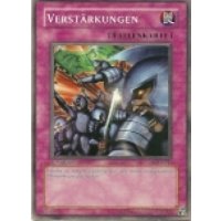 Verstärkungen SDJ-G044