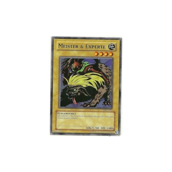 Meister &amp; Experte SDK-G015