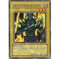 Unbekannter Krieger der Unterwelt SDK-G016